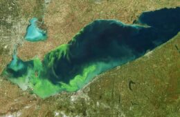 Aerial photo of Lake Erie with green algal blooms