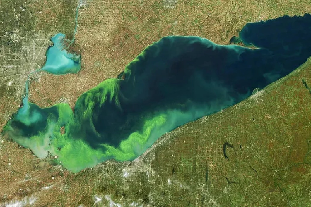 Aerial photo of Lake Erie with green algal blooms