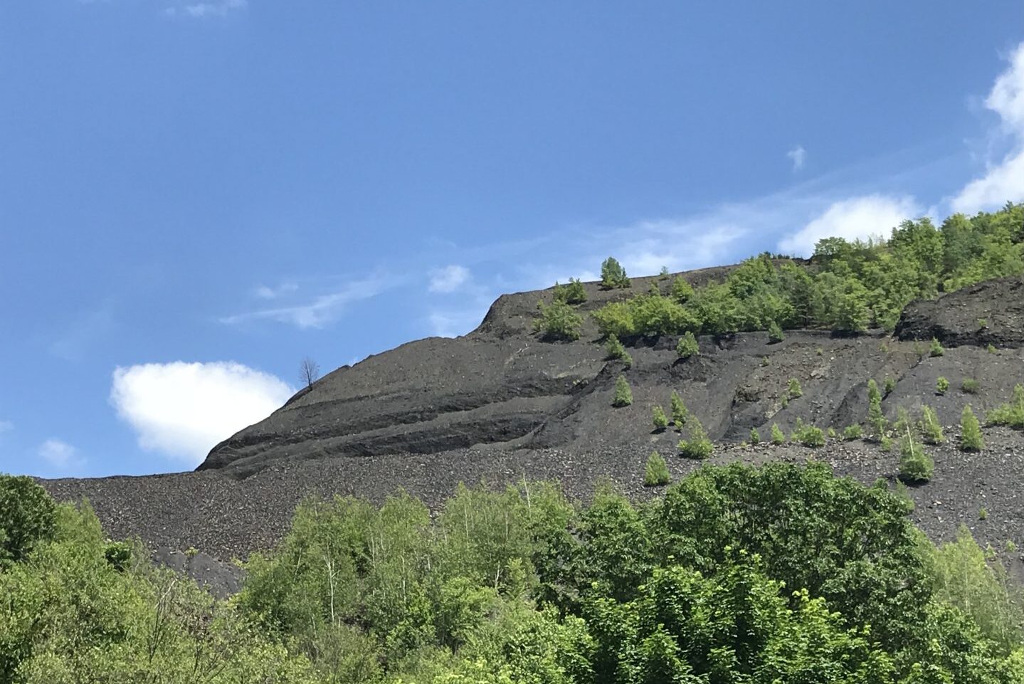 A large pile of coal towers over a clearing of trees