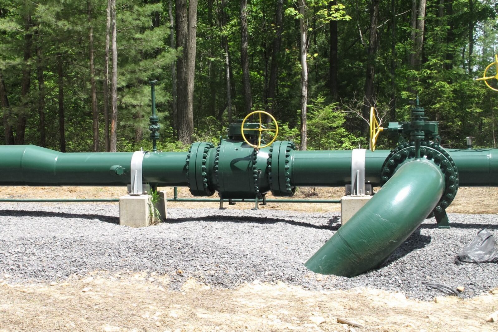 A green pipeline sits in front of a background of trees