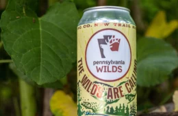 A can of beer sitting on the ground