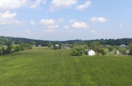 green farm fields with a farm house in the distance