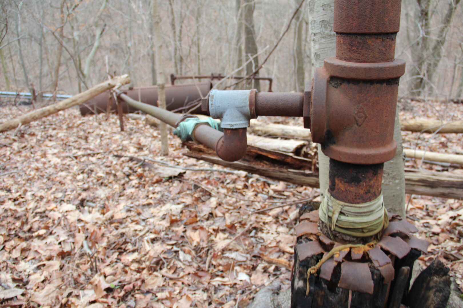 well in a forest in the winter