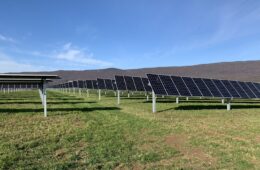 Solar panels in a grass field