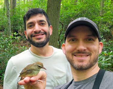 Nick G. Liadis and David Yeany II holding a Swainson's warbler