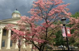 The Centre County Courthouse in Bellefonte