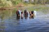 Three researchers bending over in knee-deep water