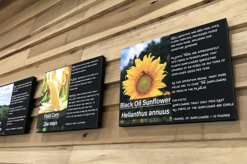 Plaques on the wall explaining the process.