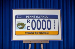 An image of the new license plate sitting on an easel