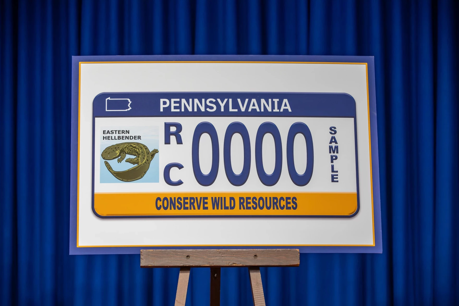 An image of the new license plate sitting on an easel
