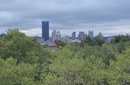 Trees in the foreground with a view of Downtown Pittsburgh.