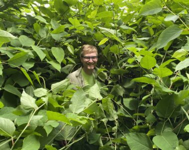 Mason Heberling engulfed in knotweed with only his head visible.
