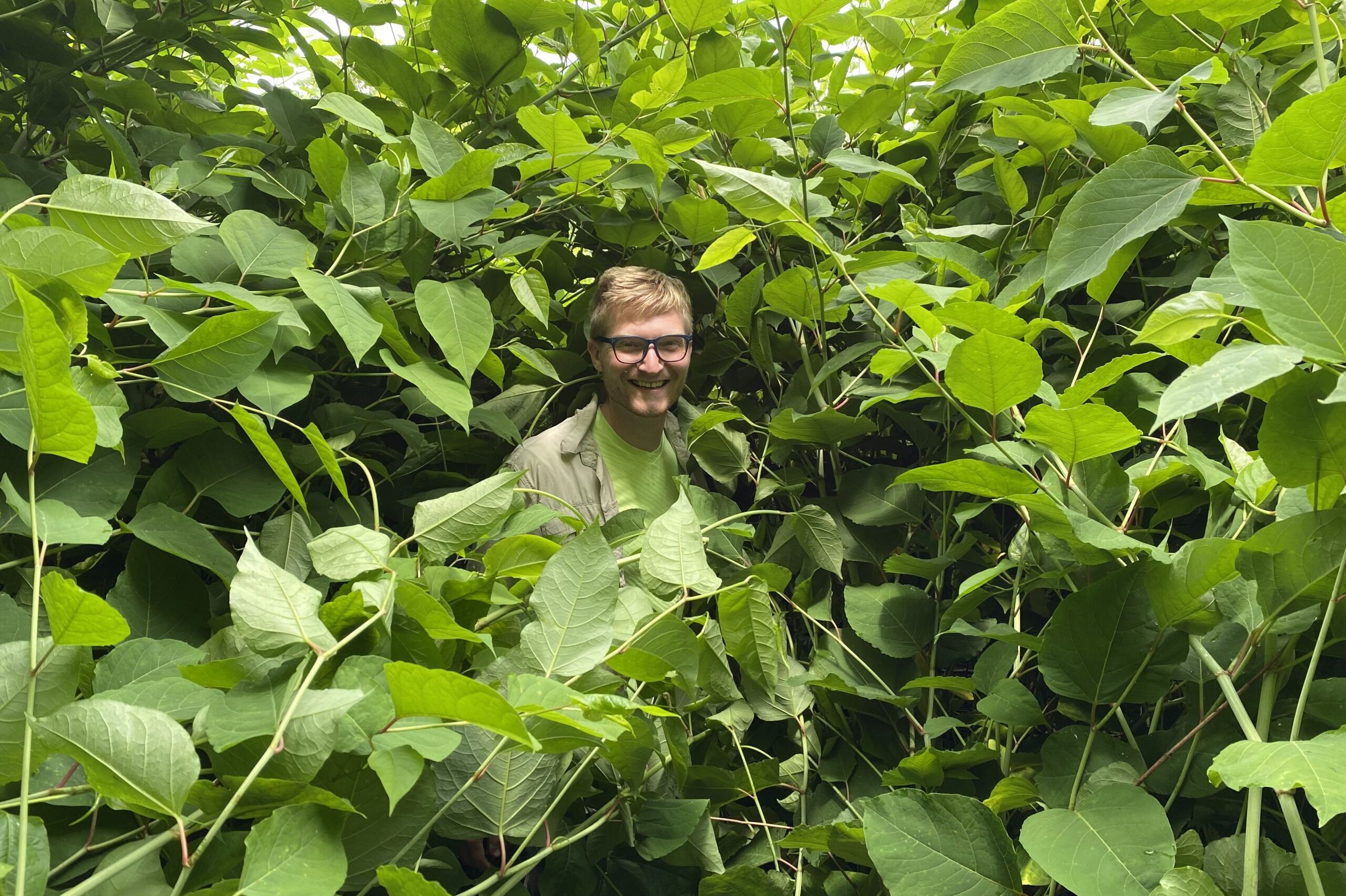 Why teaching people about invasive plants can get a little thorny