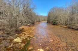 An orangish stream