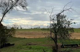 A farm field with green grass in the foreground