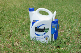 A jug of Roundup weed killer on green grass