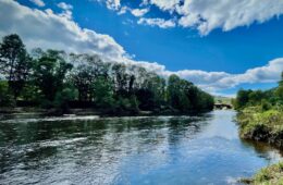 A river with wood banks under a blue sky.