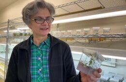 A woman with gray hair holds a clear container with a small tree sapling inside.