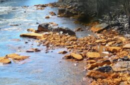 a stream bank with orange rocks