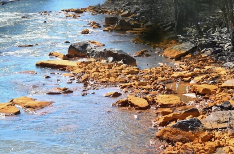 a stream bank with orange rocks