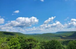 Rolling hills under a blue sky with white puffy clouds