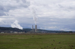 A power plant with large smokestacks shown from a distance.