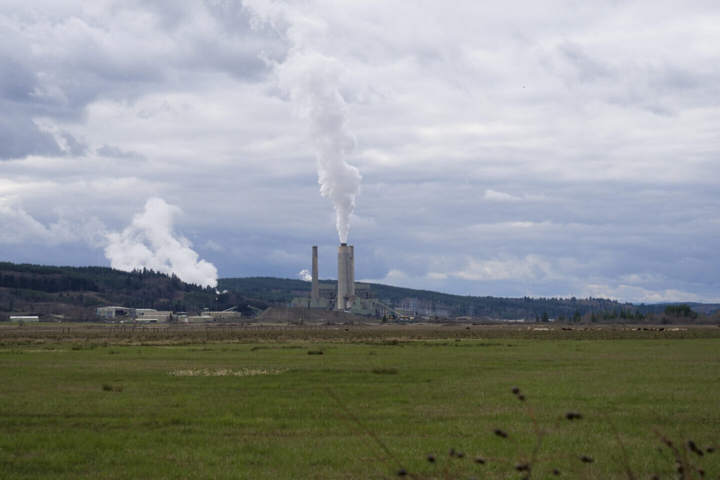 A power plant with large smokestacks shown from a distance.