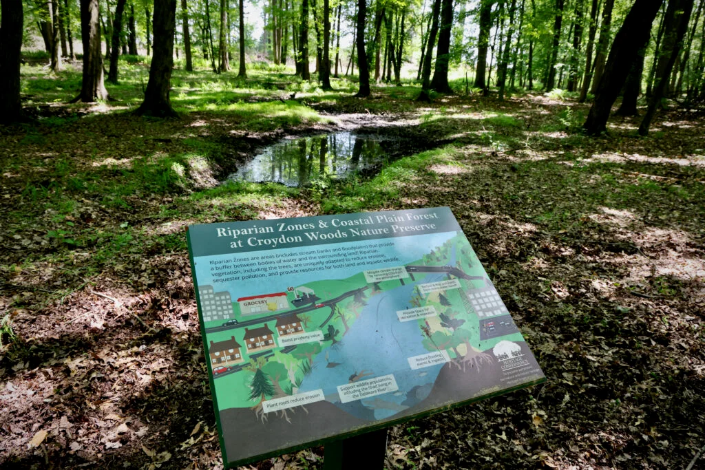 A sign about riparian zones in front of a watery wooded area