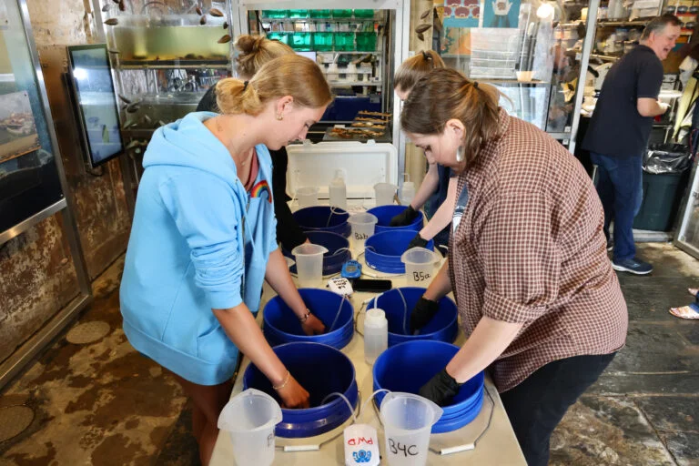 Two women have their hands in big blue buckets in a lab