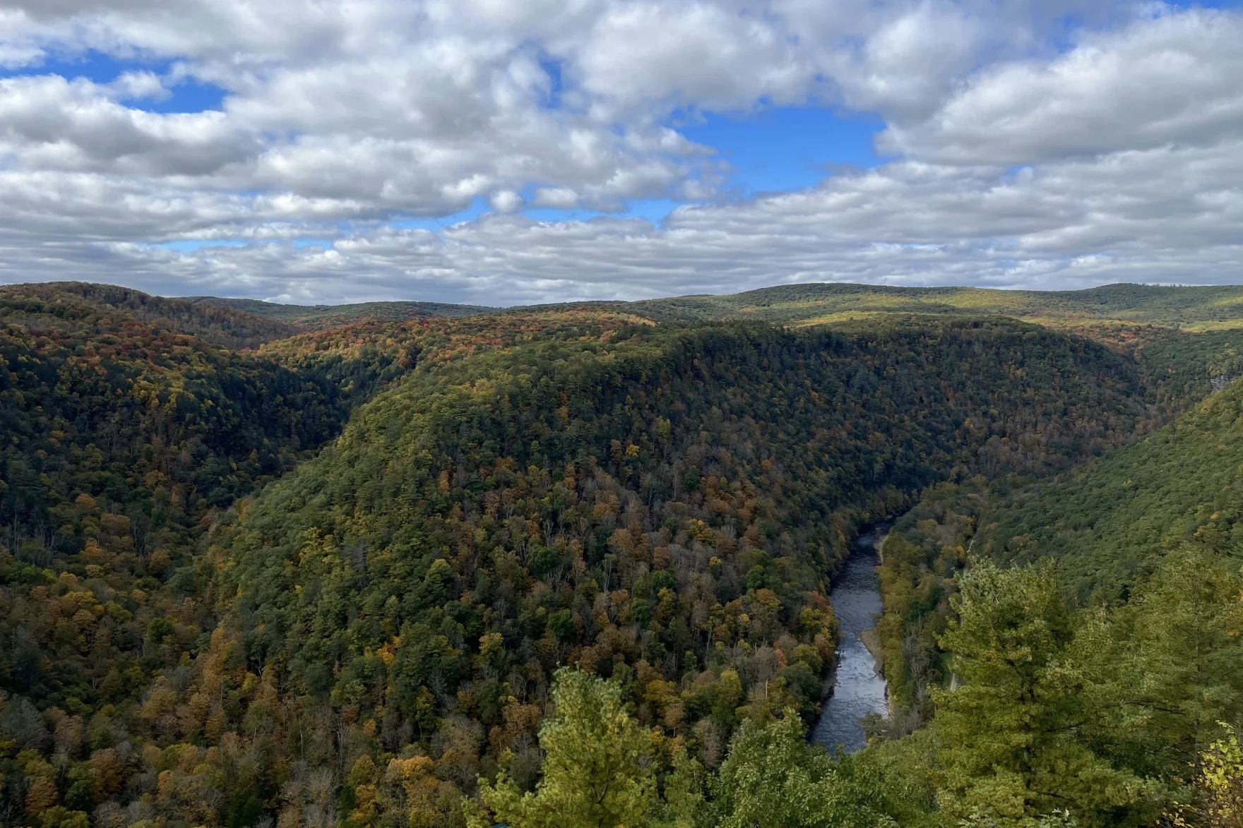 Green wooded mountain views with blue and white sky