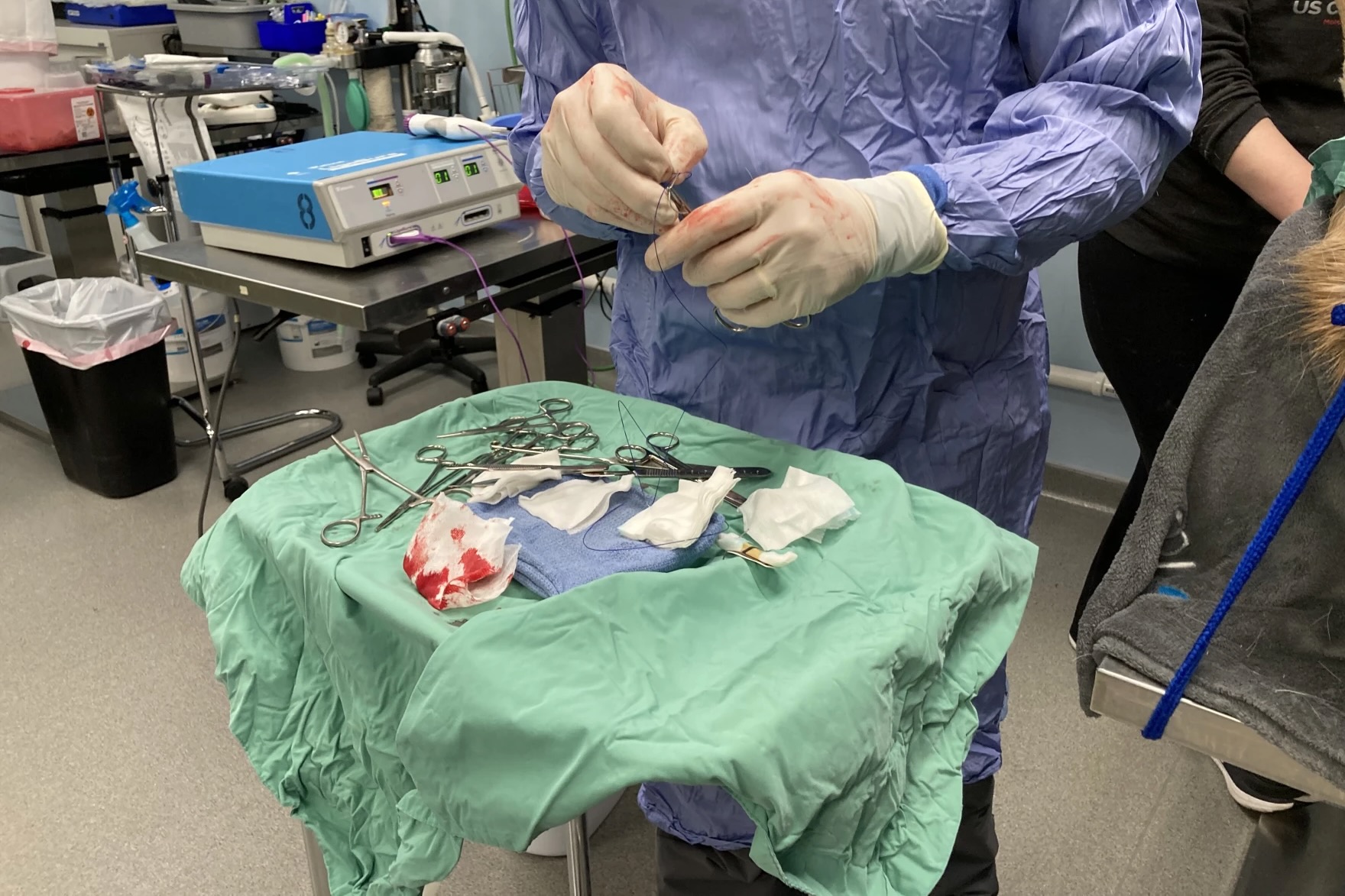 An tray of operating equipment.