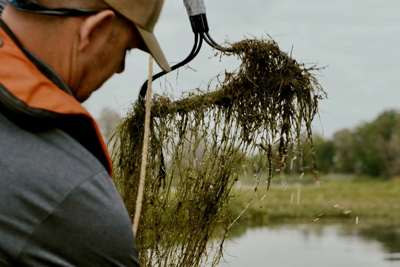 A profile of a man holding a rake full of stringy vegetation at a lake.