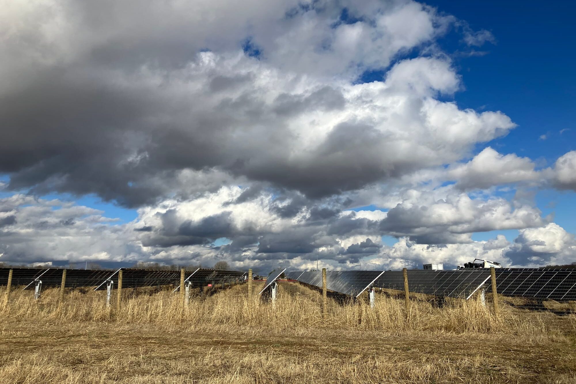 Solar panels on brown grass with a blue sky and white clouds floating overhead