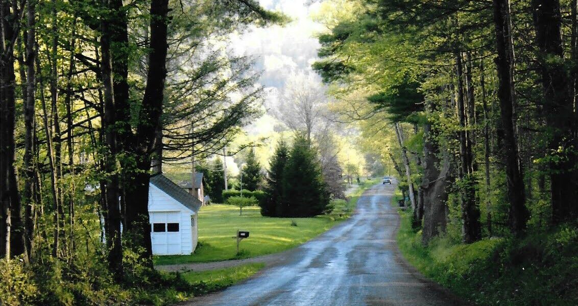 A road lined with green trees is wet with oil and gas wastewater