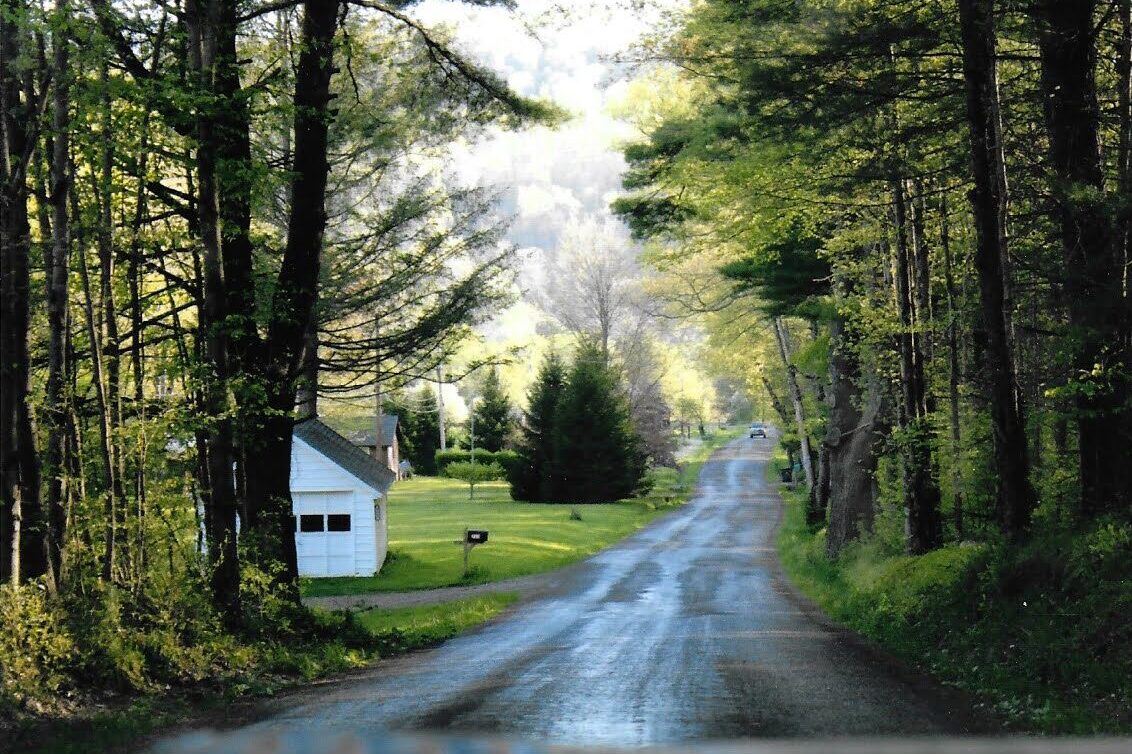 A road lined with green trees is wet with oil and gas wastewater
