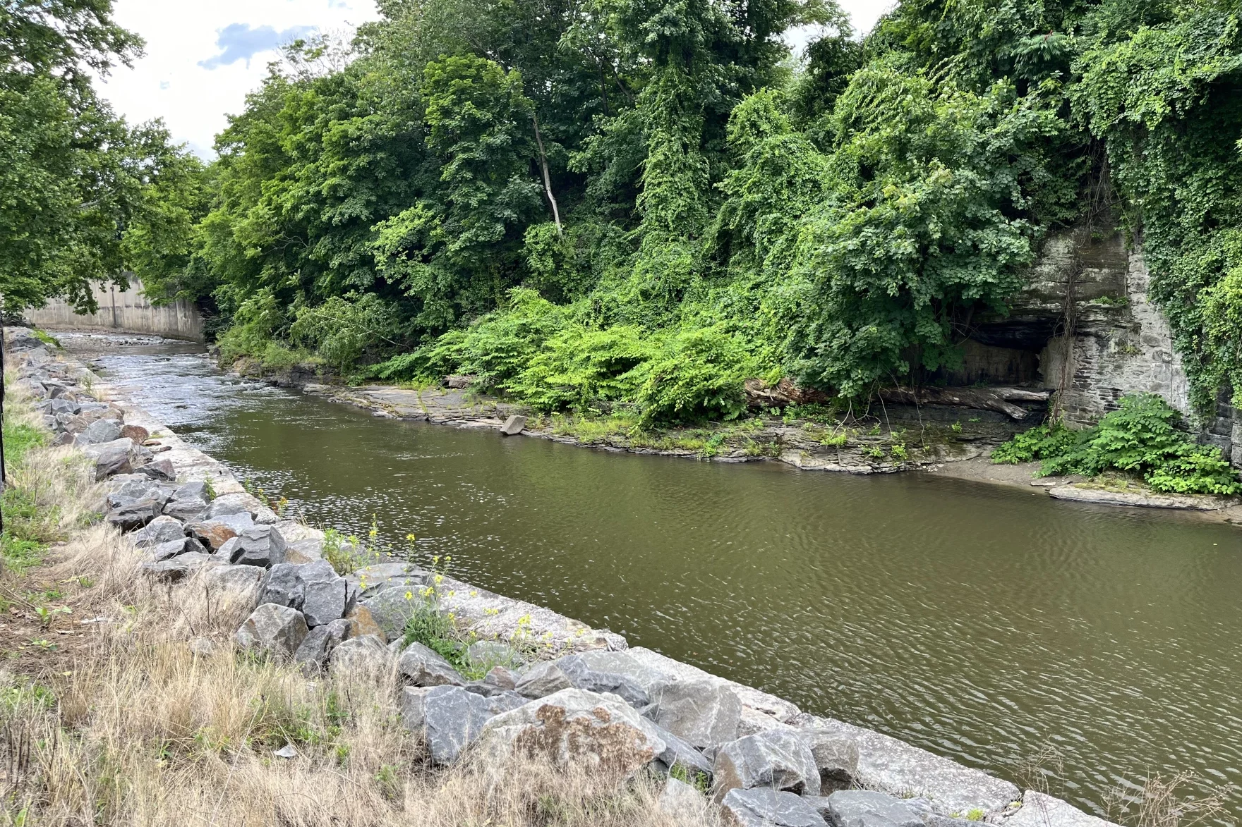 A brownish stream within a channel, with trees along one bank.