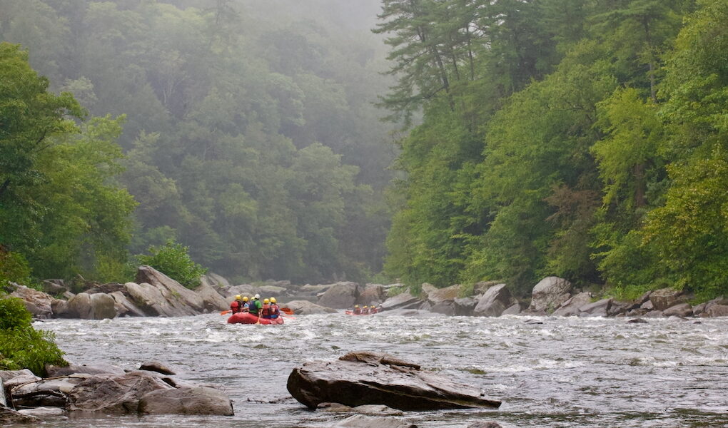 A red raft on white water surrounded by green trees