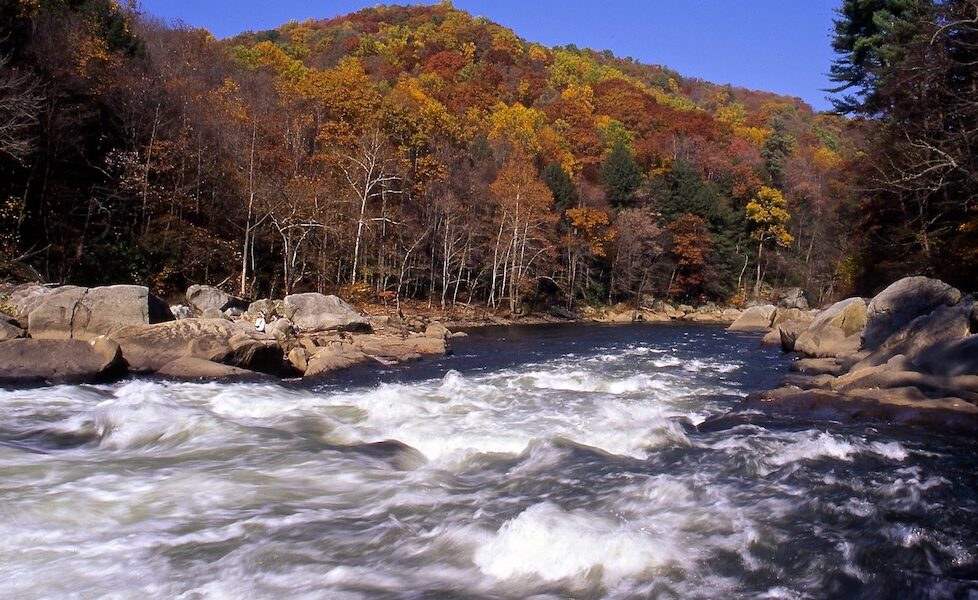 Rapids in a river flowing next to a hill of fall leaves