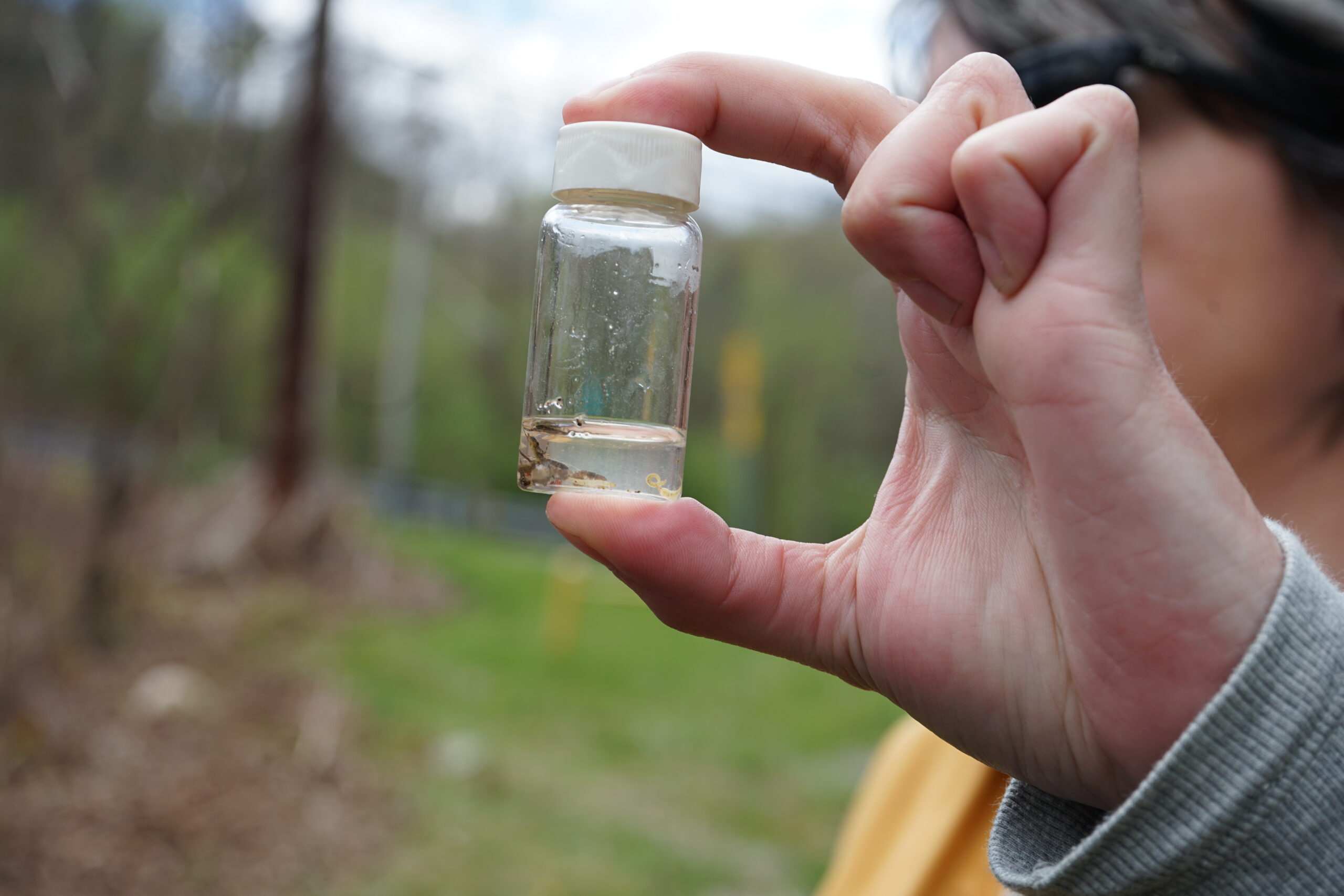 Scientists test aquatic organisms for PFAS in Montour Run&hellip;